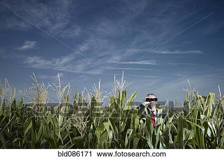 Stock Image - Caucasian businessman using binoculars in corn field. Fotosearch