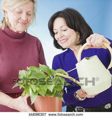 Stock Photo - Friends watering plants together. Fotosearch