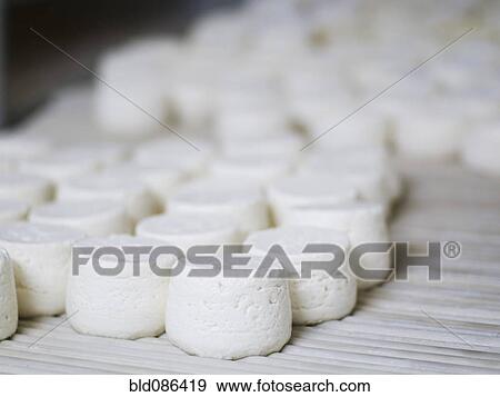 Stock Photo - Wheels of artisanal cheeses. Fotosearch