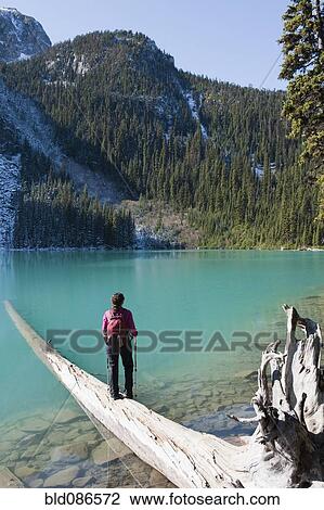Hispanic hiker standing on log near remote lake View Large Photo Image Stock Image - Hispanic hiker standing on log near remote lake. Fotosearch