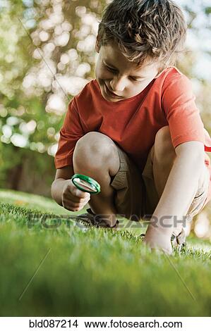 Caucasian boy looking at grass with magnifying glass View Large Photo Image Picture - Caucasian boy looking at grass with magnifying glass. Fotosearch