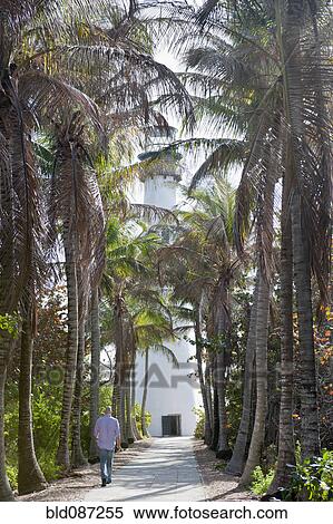 Stock Photography - Hispanic man walking on tropical path. Fotosearch