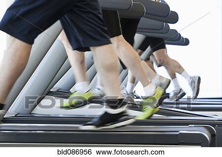 People running on treadmills in health club View Large Photo Image Stock Photograph - People running on treadmills in health club. Fotosearch