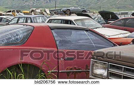 Stock Photograph - Abandoned cars in junkyard. Fotosearch