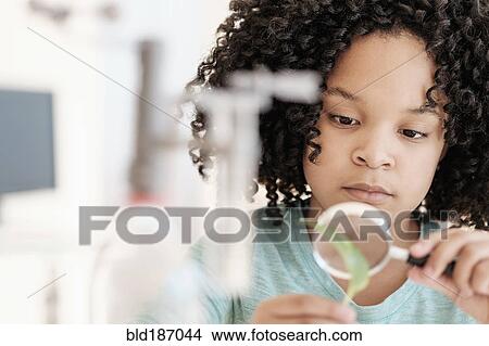 Picture - African American girl examining leaf in science classroom. Fotosearch