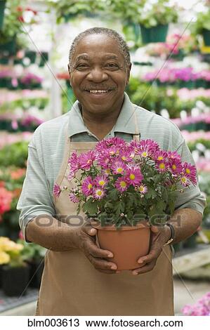 Stock Image - African florist holding flowerpot. Fotosearch
