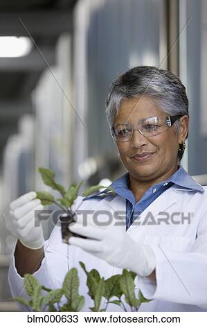 Stock Image - African scientist examining seedlings in factory. Fotosearch