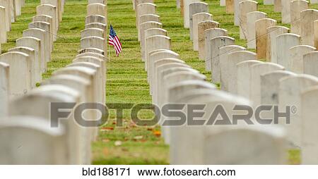 Stock Image - American flag planted in veterans cemetery. Fotosearch