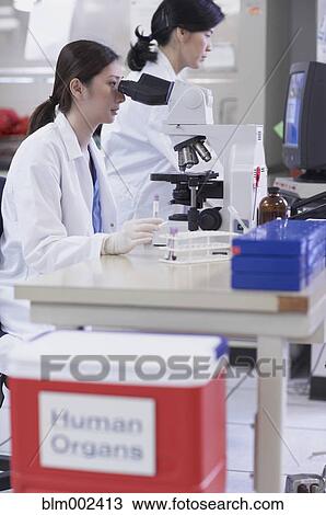 Asian female scientist looking into microscope View Large Photo Image Stock Image - Asian female scientist looking into microscope. Fotosearch