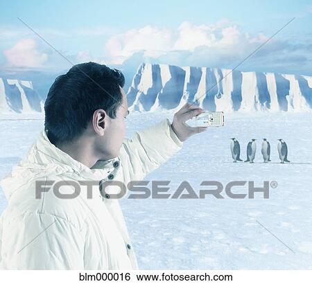Stock Photograph - Asian man taking photograph of penguins. Fotosearch