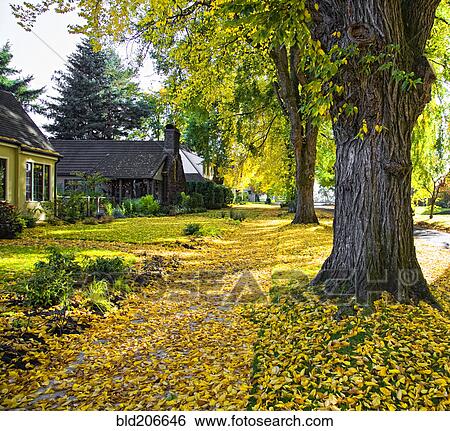 Stock Photograph - Autumn in Residential Area. Fotosearch