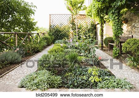 Backyard Garden View Large Photo Image Stock Photo - Backyard Garden. Fotosearch