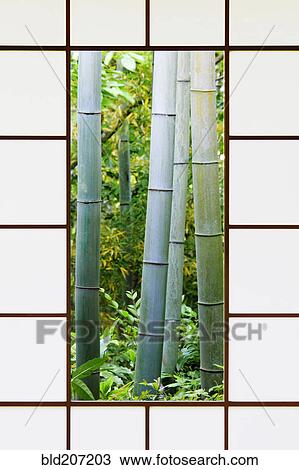 Stock Image - Bamboo Forest Through a Rice Paper Window. Fotosearch