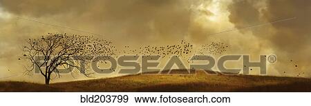 Stock Photo - Birds flying to bare tree in rural landscape. Fotosearch
