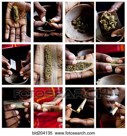Stock Photography - Black man rolling marijuana cigarette. Fotosearch
