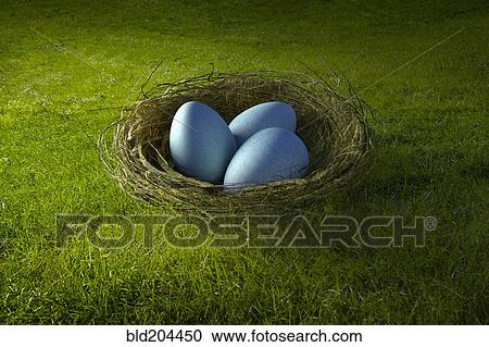 Stock Image - Blue eggs in bird's nest. Fotosearch