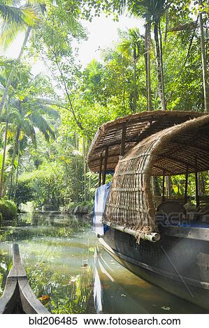 Boat in the Jungle View Large Photo Image Stock Photography - Boat in the Jungle. Fotosearch