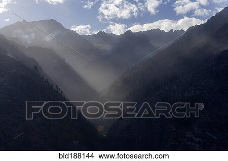 Picture - Burned trees on rural mountainsides. Fotosearch