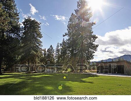 Stock Photograph - Cabin and shed in rural field. Fotosearch