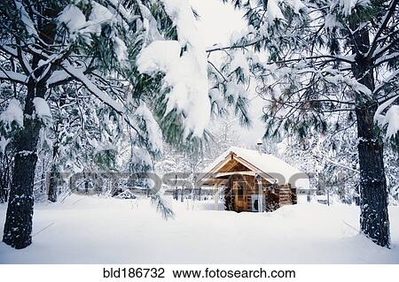 Stock Image - Cabin in snowy rural forest. Fotosearch