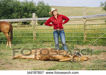Caucasian cowgirl smiling with tied cattle on ranch View Large Photo Image Stock Photo - Caucasian cowgirl smiling with tied cattle on ranch. Fotosearch