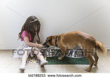 Stock Image - Caucasian girl feeding dog on floor. Fotosearch