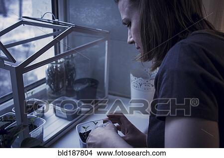 Picture - Caucasian girl tending to plants in window. Fotosearch