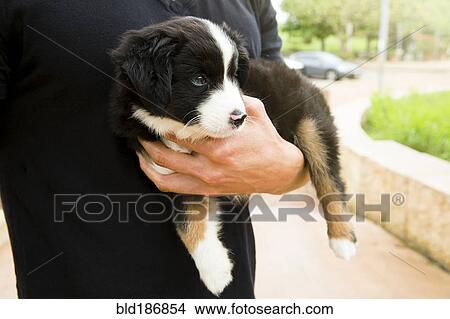 Picture - Caucasian man holding puppy. Fotosearch