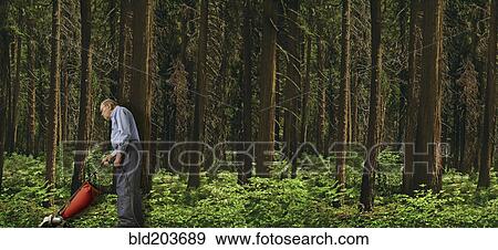 Caucasian man vacuuming forest floor View Large Photo Image Stock Photo - Caucasian man vacuuming forest floor. Fotosearch
