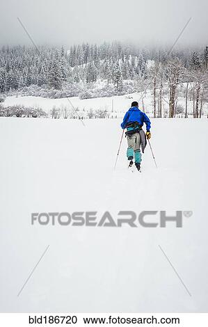 Caucasian woman cross-country skiing in snowy field View Large Photo Image Stock Image - Caucasian woman cross-country skiing in snowy field. Fotosearch