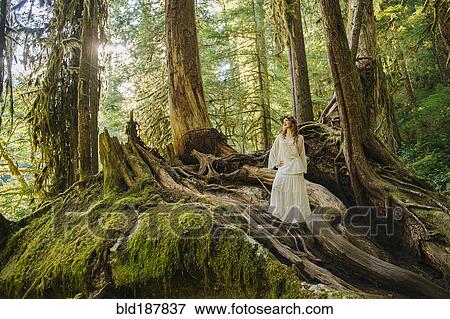 Stock Photo - Caucasian woman standing on root in forest. Fotosearch