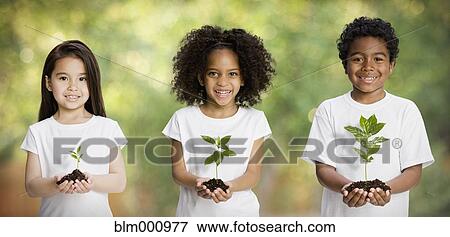 Children holding seedlings View Large Photo Image Stock Photo - Children holding seedlings. Fotosearch