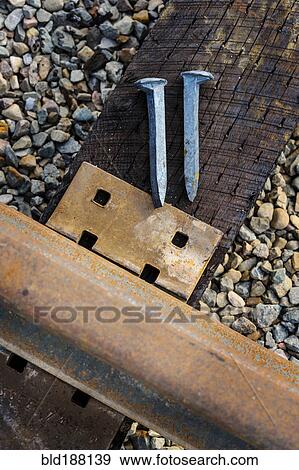Stock Photo - Close up of railroad tracks and rail spikes. Fotosearch