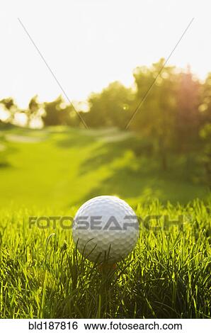 Close up of teed golf ball on golf course View Large Photo Image Stock Photograph - Close up of teed golf ball on golf course. Fotosearch