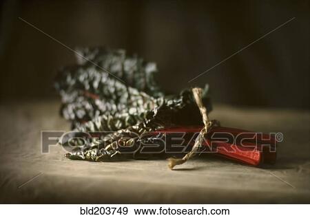 Close up of vegetable leaf View Large Photo Image Stock Photo - Close up of vegetable leaf. Fotosearch