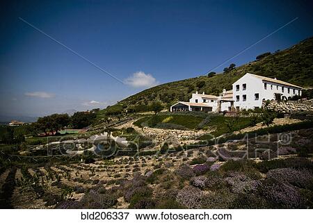 Stock Photo - Country Hotel. Fotosearch