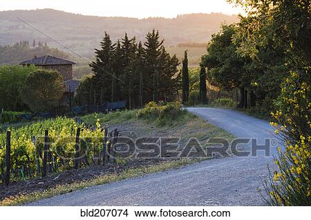 Picture - Country Road at Sunset. Fotosearch