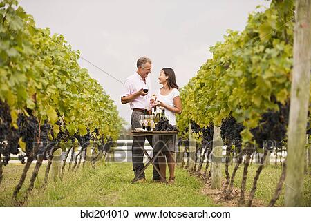 Couple tasting wine together in vineyard View Large Photo Image Stock Image - Couple tasting wine together in vineyard. Fotosearch