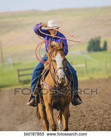 Cowboy throwing lasso on horseback View Large Photo Image Stock Photography - Cowboy throwing lasso on horseback. Fotosearch