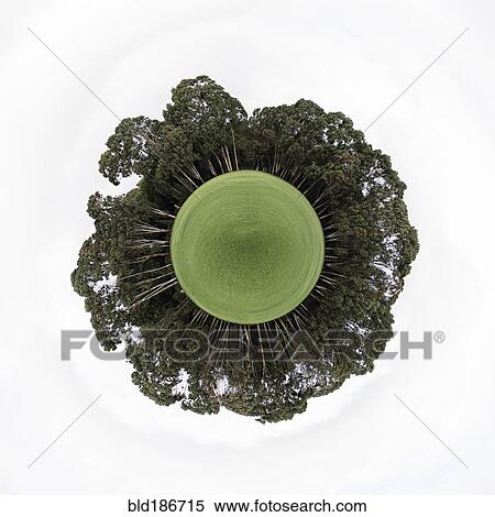 Stock Photography - Cross section view of trees growing around globe. Fotosearch