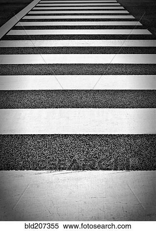 Stock Photography - Crosswalk, Tokyo, Japan. Fotosearch