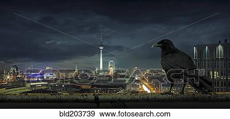 Stock Photo - Crow overlooking cityscape, Berlin, Berlin, Germany. Fotosearch