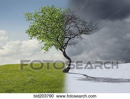 Digital illustration of half winter landscape View Large Photo Image Stock Image - Digital illustration of half winter landscape. Fotosearch