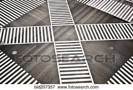 Empty crosswalk, Shibuya Crossing, Shibuya, Tokyo, Japan View Large Photo Image Stock Photo - Empty crosswalk, Shibuya Crossing, Shibuya, Tokyo, Japan. Fotosearch