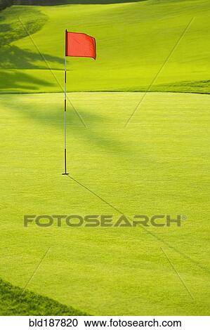 Flag in hole on golf course View Large Photo Image Stock Image - Flag in hole on golf course. Fotosearch