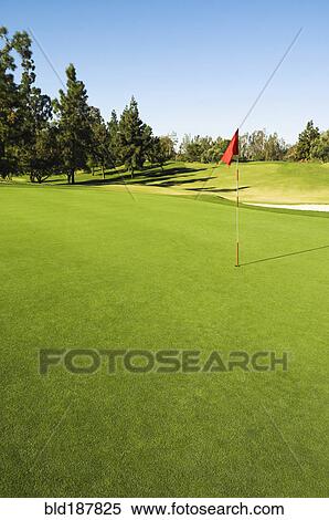 Stock Photography - Flag in hole on golf course. Fotosearch