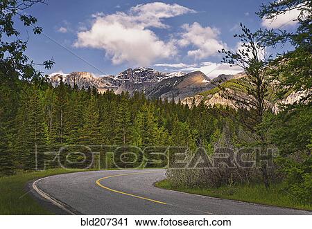 Stock Image - Forest road in Kananaskis Country, Alberta. Fotosearch