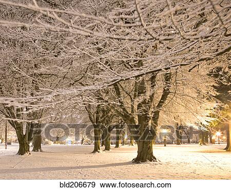 Stock Photo - Fresh Snow in a City Park. Fotosearch