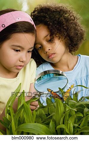 Stock Image - Girls looking at butterfly with magnifying glass. Fotosearch