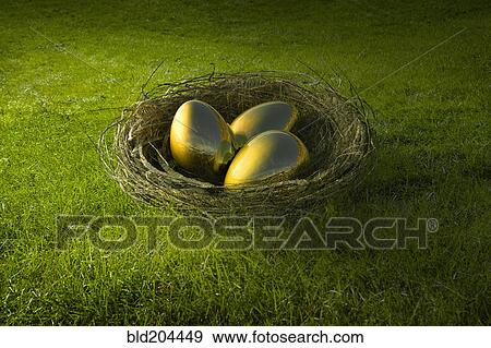 Golden eggs in bird's nest View Large Photo Image Stock Photo - Golden eggs in bird's nest. Fotosearch